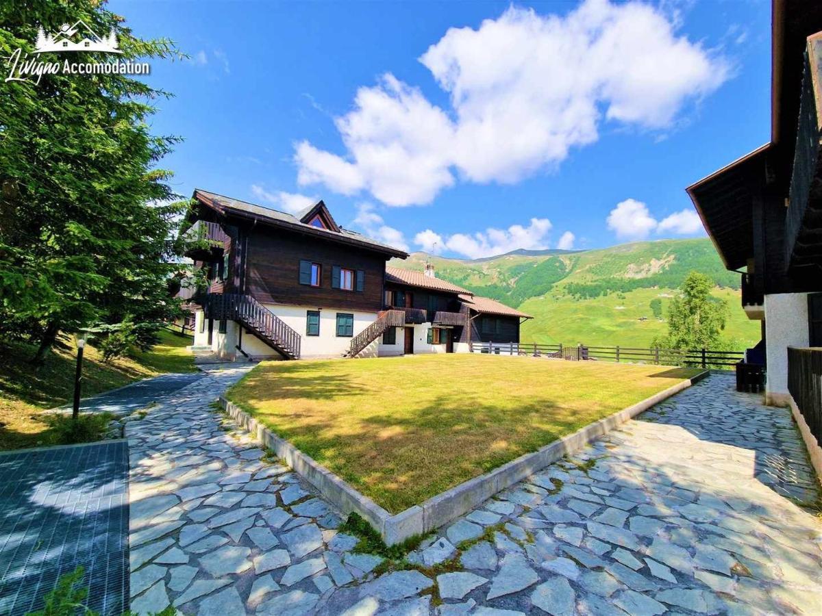 Chalet Rododendro Forest By Livigno Accomodation Exterior foto