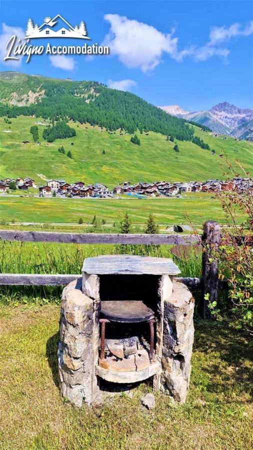 Chalet Rododendro Forest By Livigno Accomodation Exterior foto